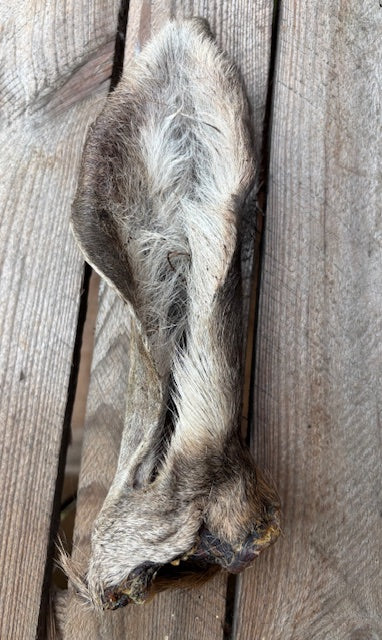 Gedroogde hertenoren voor honden - Natuurlijke wildkauwsnack met pit
