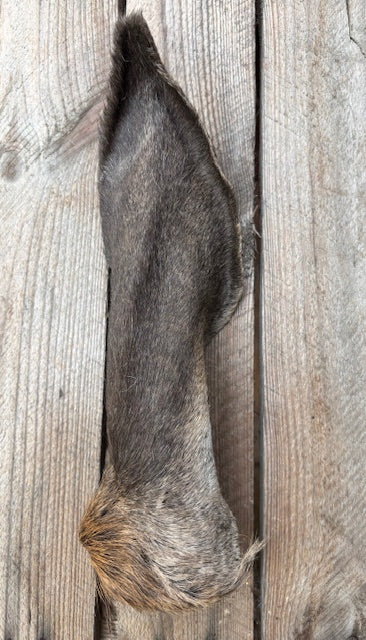 Gedroogde hertenoren voor honden - Natuurlijke wildkauwsnack met pit